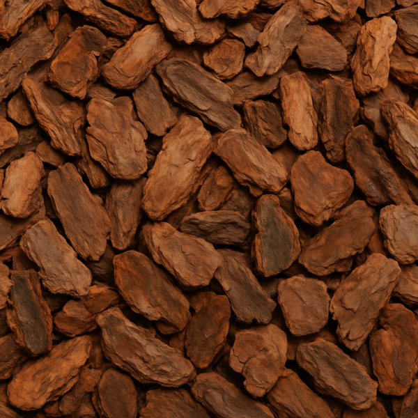 Pine Bark