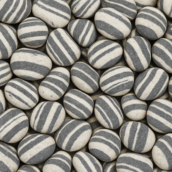Zebra Pebbles